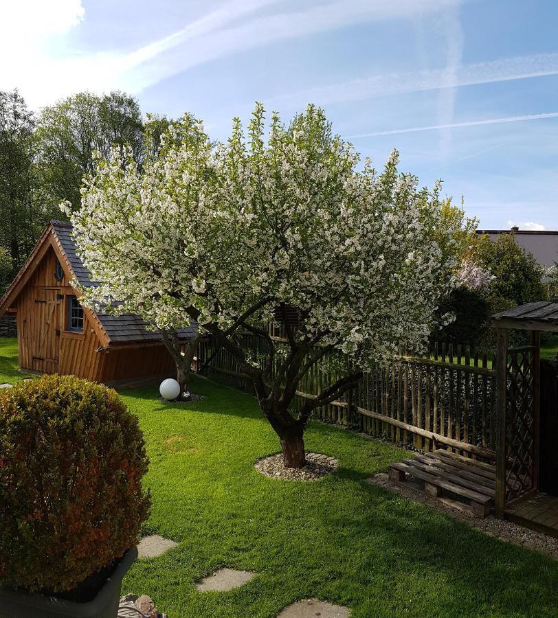 Haus Ilsegarten Ilsenburg Esterno foto