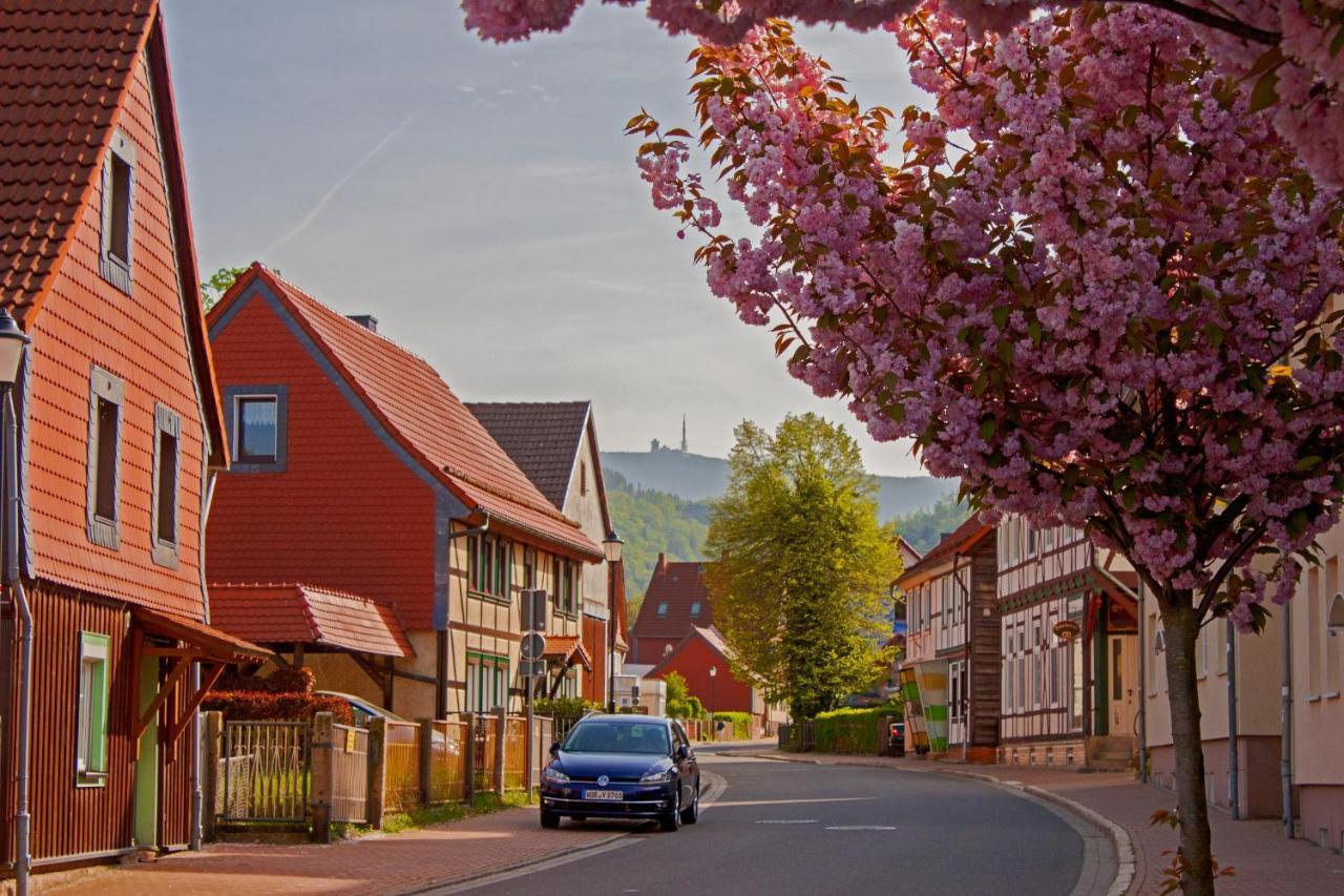 Haus Ilsegarten Ilsenburg Esterno foto